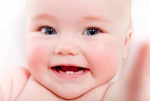 Răng sữa ở trẻ là những chiếc răng mọc đầu tiên trong thời kỳ trẻ bú mẹ.