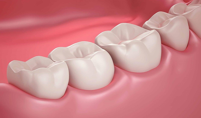 Răng số 5 thuộc nhóm răng hàm và có nguy cơ cao bị sâu