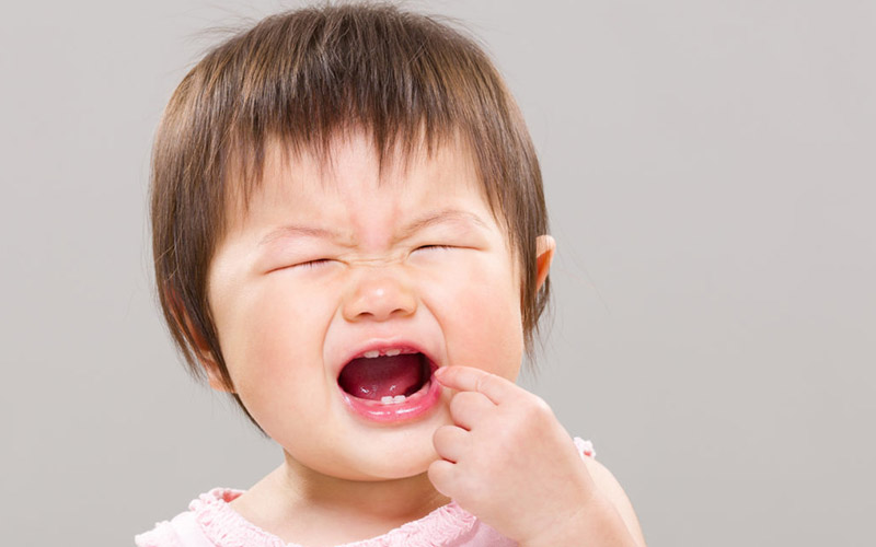 Trẻ mọc răng hàm là vấn đề được nhiều cha mẹ quan tâm