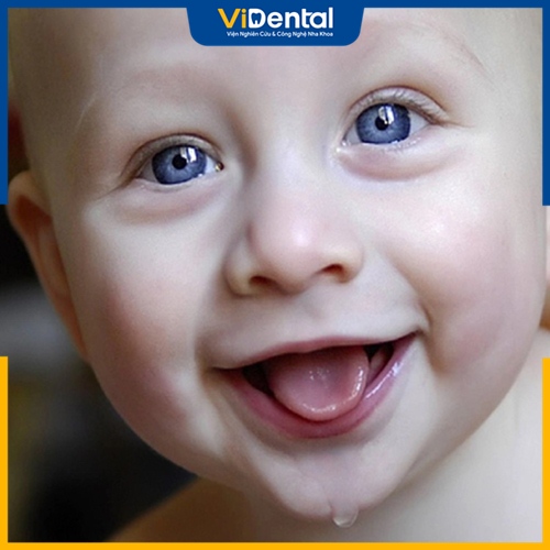  Từ khoảng 6 tháng tuổi, trẻ sẽ mọc những chiếc răng sữa đầu tiên