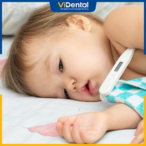 Trẻ mọc răng hàm có bị sốt không là câu hỏi rất nhiều phụ huynh quan tâm