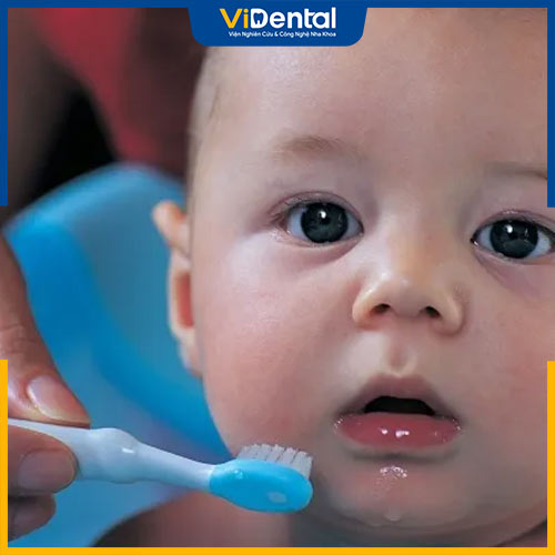 Phụ huynh cần chọn đúng loại bàn chải cho bé mới mọc răng