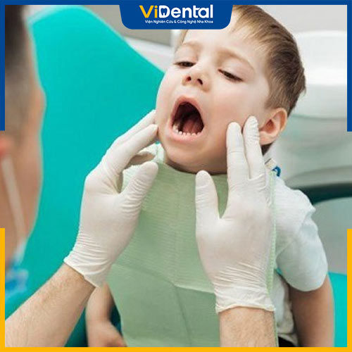 ViDental Kid - Địa chỉ khám, chăm sóc răng miệng trẻ em uy tín