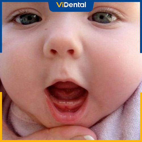 Trẻ bắt đầu mọc răng từ tháng thứ 6