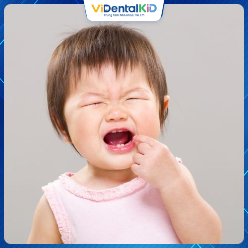 Trong quá trình phát triển răng trẻ cần được bổ sung đủ dinh dưỡng