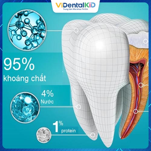 Men răng có chứa nhiều thành phần, đặc biệt là khoáng chất