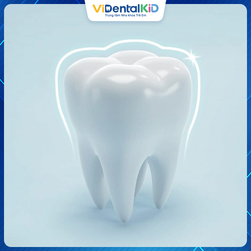 Cấu trúc tinh thể men cũng có trong men răng