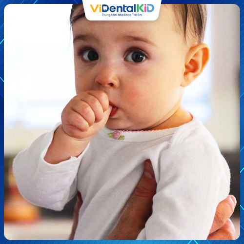 Mút tay ảnh hưởng đến thời gian mọc răng vĩnh viễn ở trẻ nhỏ